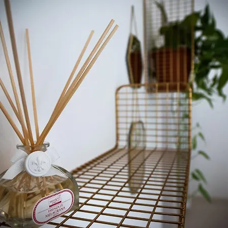 Mioe 게스트하우스 4*